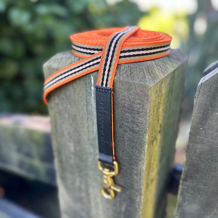 orange-striped-longline-on-a-fence-post