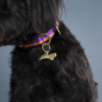 subwooferdog-close-up-of-schnoodle-wearing-hand-engraved-brass-stick-id-tag