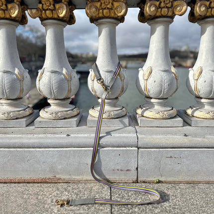 subwooferdog-striped-pink-yellow-blue-and-grey-leash-tied-around-baluster-onpont-alexandre-iii-paris