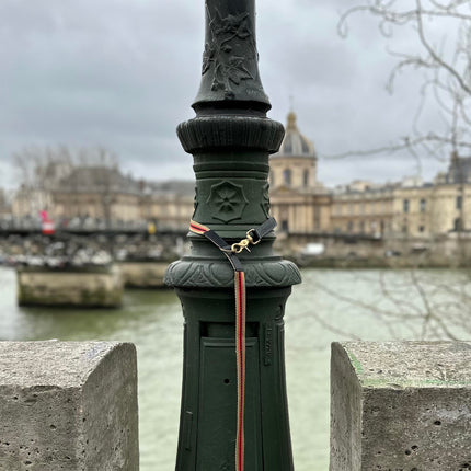 sand-and-red-striped-leash-wrapped-around-a-street-lamp-on-pont-de-arts-in-paris