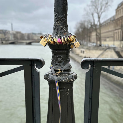 subwooferdog-lovers-padlocks-on-pont-des-artes-paris-with-pink-striped-leash-tied-lamppost