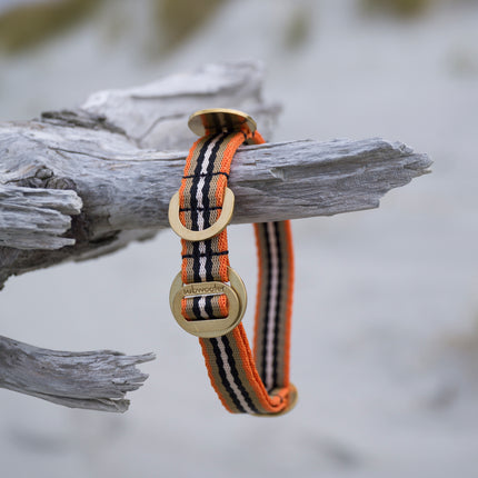 subwooferdog-orange-cream-and-black-striped-collar-hanging-on-a-piece-of-driftwood