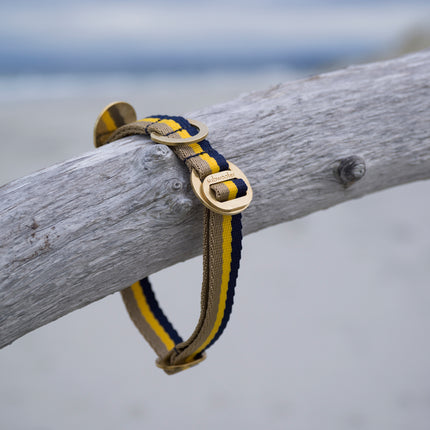 sand-yellow-and-blue-collar-with-polished-brass-hardware on-driftwood