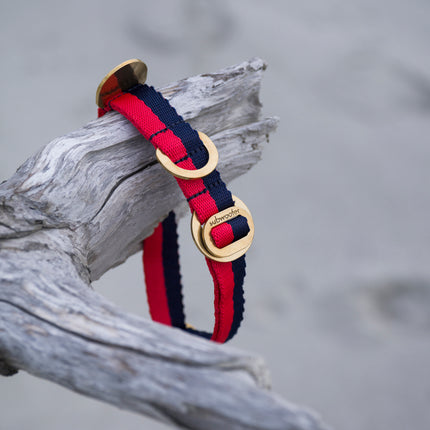 subwooferdog-red-and-navy-stripe-collar-on-piece-of-driftwood