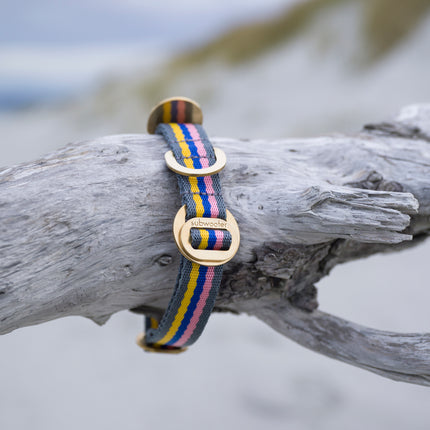 subwooferdog-pink-yellow-blue-and-grey-collar-on-a-piece-of-driftwood