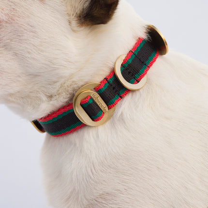 subwooferdog-close-up-shot-of-dog-wearing-red-green-and-black-stripe-collar-with-polished-brass-hardware