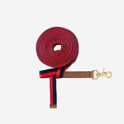 subwooferdog-red-and-navy-block-stripe-training-line-with-brown-leather-trim-and-brass-hardware