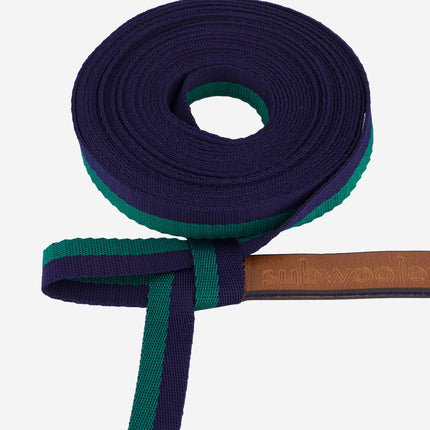 subwooferdog-close-up-green-and-navy-stripe-webbing-of-longline