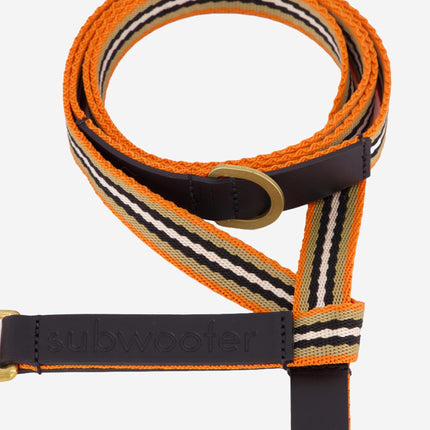 subwooferdog-clearcut-zoom-of-orange-striped-leash