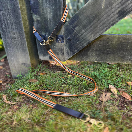 subwooferdog-orange-striped-dogs-leash-tied-up-to-wooden-gate