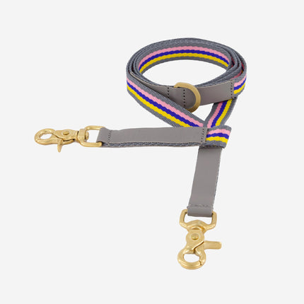 subwooferdog-clearcut-close-up-of-pink-yellow-blue-striped-leash