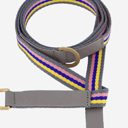 subwooferdog-zoom-in-on-striped-grey-pink-yellow-and-electric-blue-dogs-lead