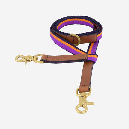 subwooferdog-clearcut-view-from-an-angle-slightly-above-of-a-purple-and-orange-striped-dog-lead-with-leather-handle