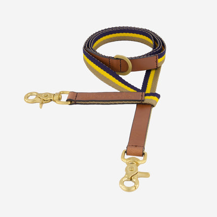 subwooferdog-clearcut-zoom-on-angle-from-above-of-yellow-striped-dogs-leash-with-brown-leather-trim-and-solid-brass-swivel-hooks