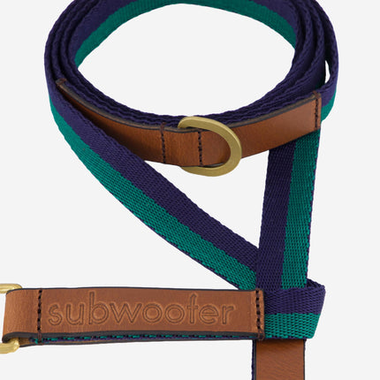 subwooferdog-zoom-in-clearcut-of-green-and-navy-striped-leash